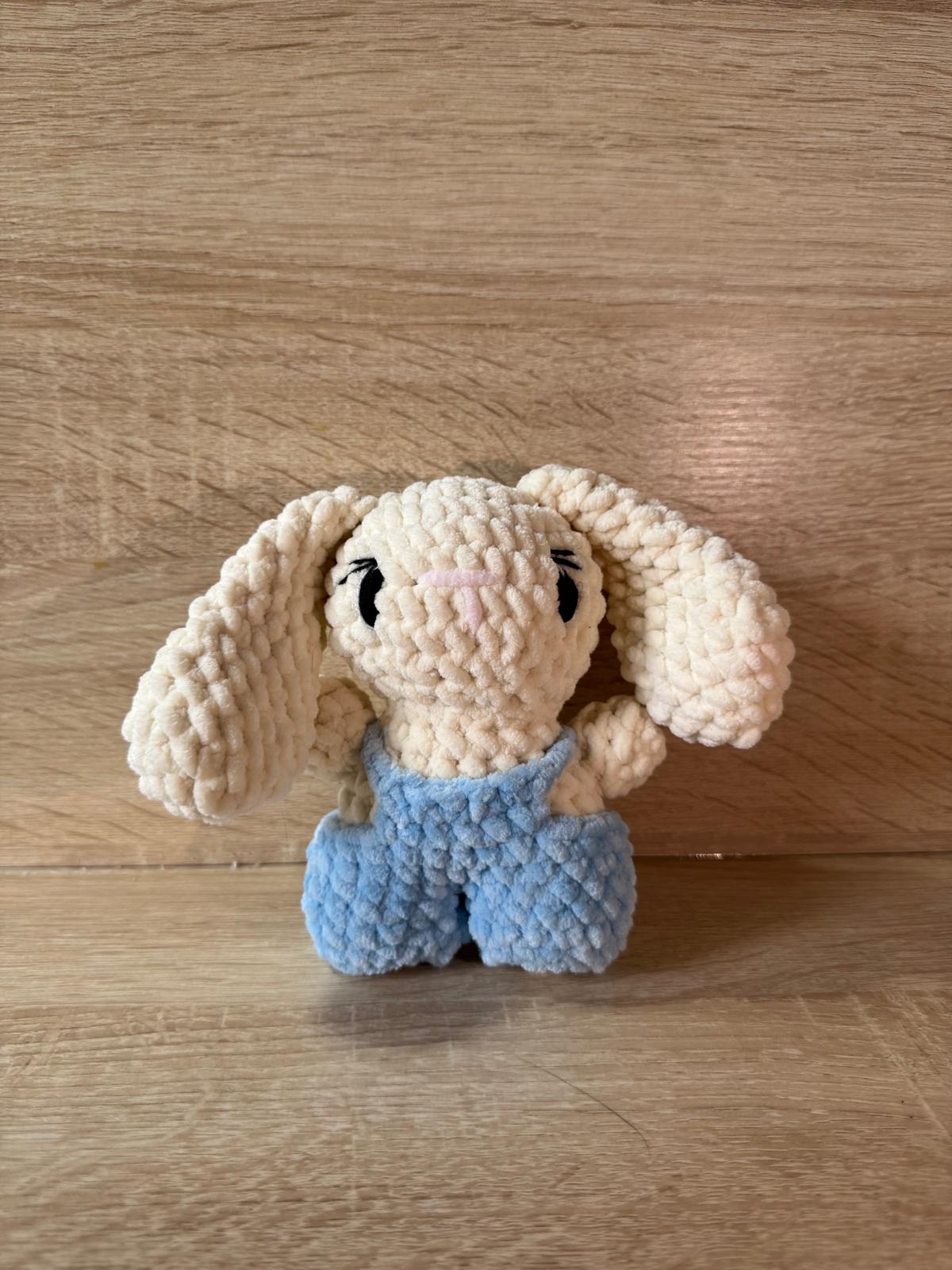 Lapin avec sa salopette bleu🐇