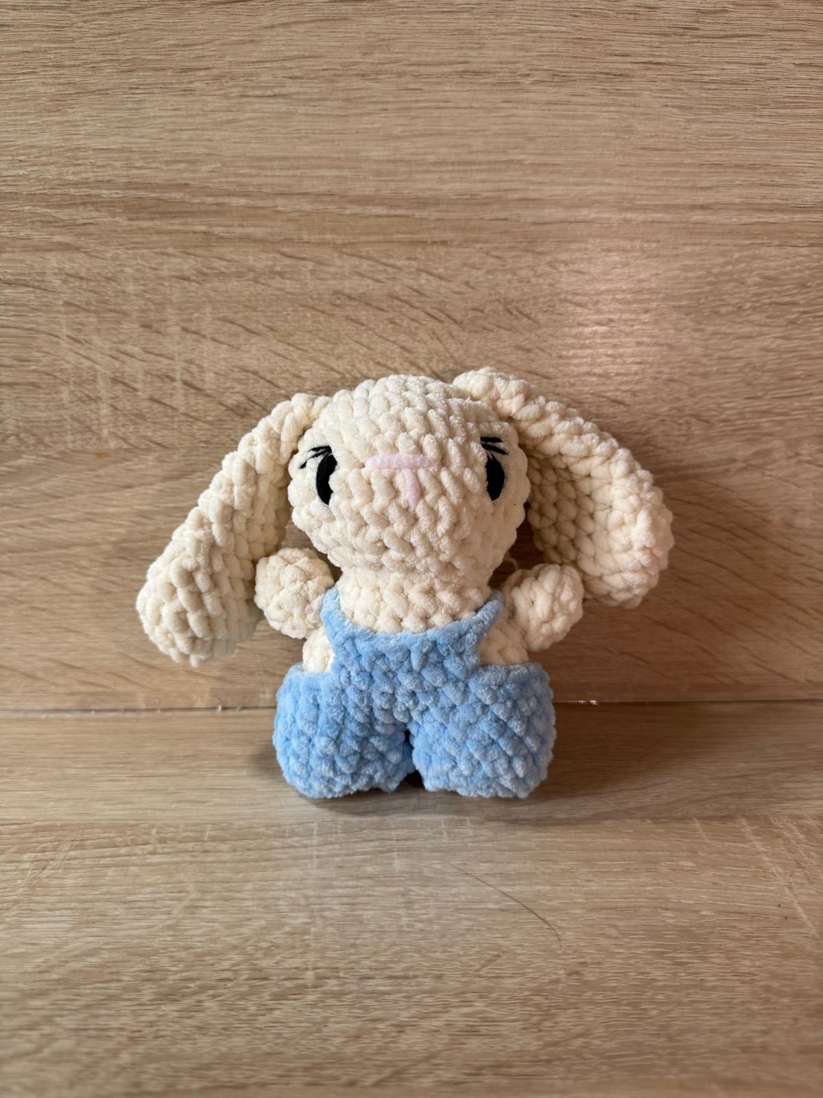 Lapin avec sa salopette bleu🐇