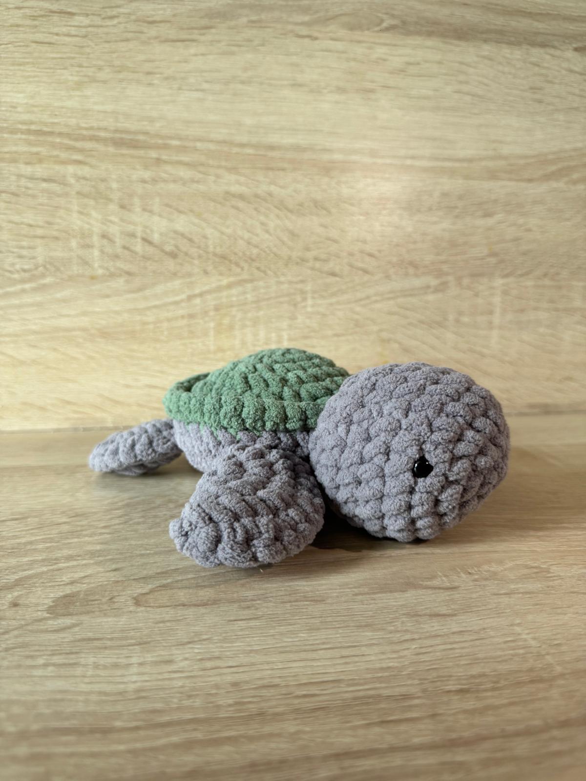 Tortue grise 🐢