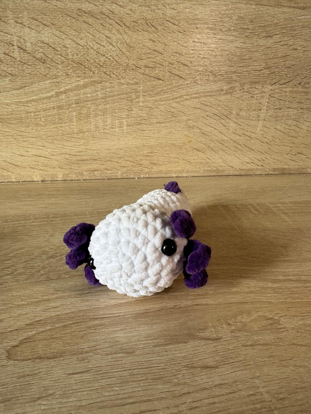 Axolotl🌸